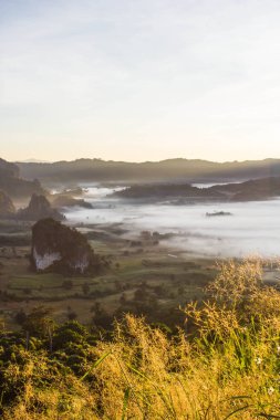 puslu dağlar, Phu Langka Milli Parkı peyzaj.