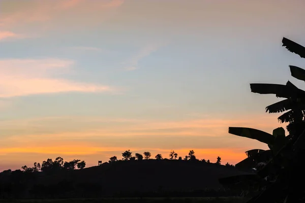 Zonsondergang o de rijst veld — Stockfoto
