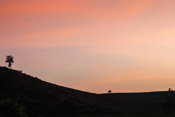 Coucher de soleil o la rizière — Photo