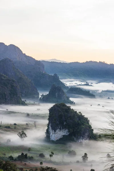 Het landschap van mistige bergen, Phu Langka Nationaal Park. — Stockfoto