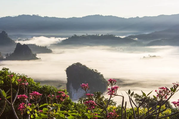 El paisaje de las montañas brumosas, Parque Nacional Phu Langka . — Foto de Stock