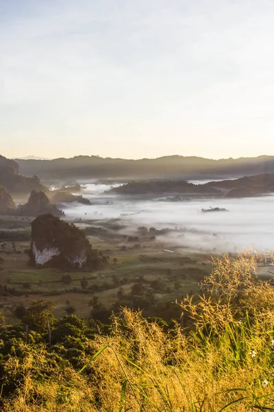 Le paysage des montagnes brumeuses, Parc national Phu Langka . — Photo