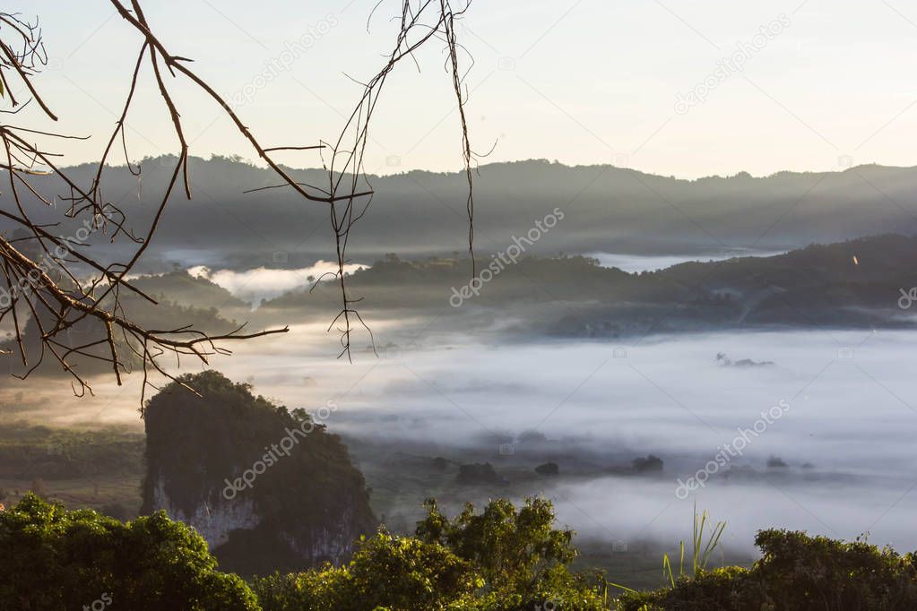 the landscape of misty mountains ,Phu Langka National Park.