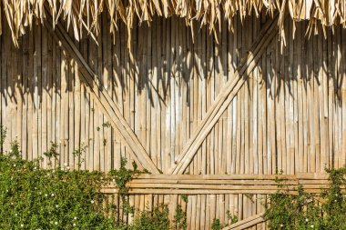 Bambu duvar arka planı için