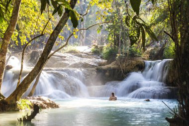 Kuang Si şelaleler, Luang Phrabang, Laos.