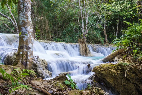 Kuang Si şelaleler, Luang Phrabang, Laos.