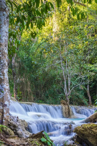 Kuang Si şelaleler, Luang Phrabang, Laos.