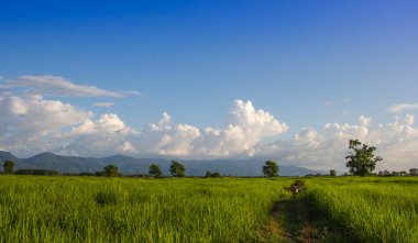 Buz tarlası ve mavi gökyüzü