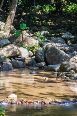 Kuzey Tayland 'da küçük bir şelale