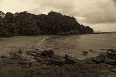 Sepya stil deniz ve plaj