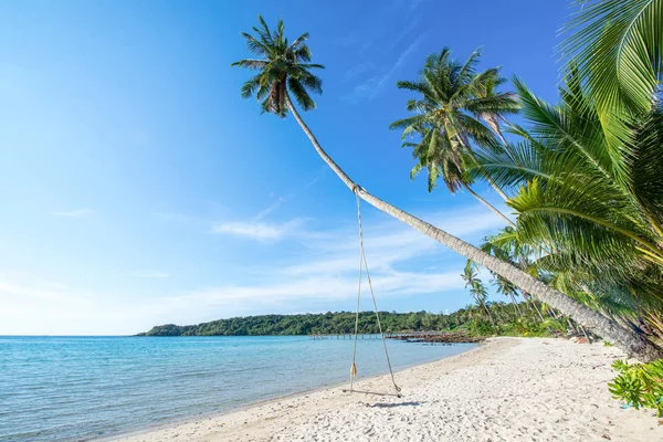 Kokosnuss und Strand bei gutem Wetter — Stockfoto