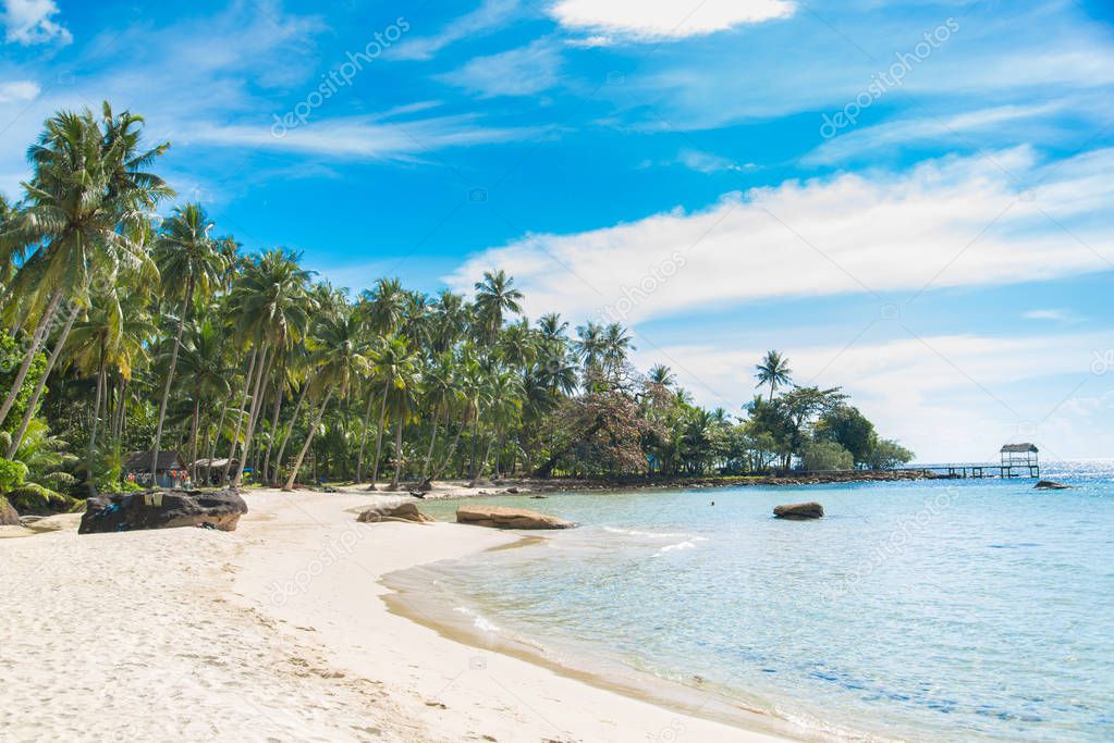 coconut tree at white beach in Thailand sea