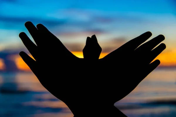 Özgürlük işareti özgürlük sembolü kuş el'nde Günbatımı el.