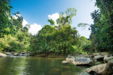 taze sahne şelale ve ormandaki nehir