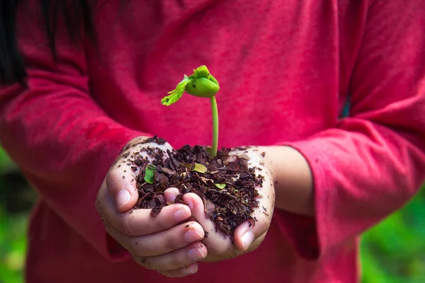 Kind pflanzt Samen mit Gratisfarbe — Stockfoto
