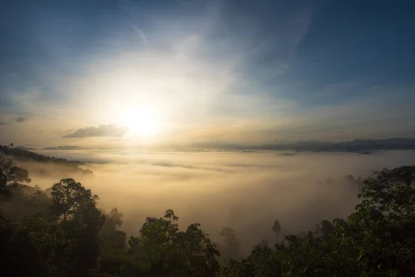 Alba sulla foresta di nebbia in Thailandia — Foto Stock