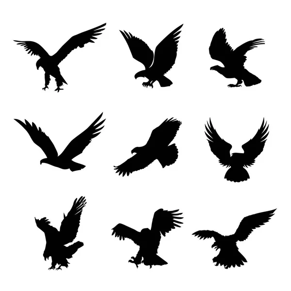 Aquila Falco Uccello Falco Animale Silhouette Icona Nera Design Piatto — Vettoriale Stock