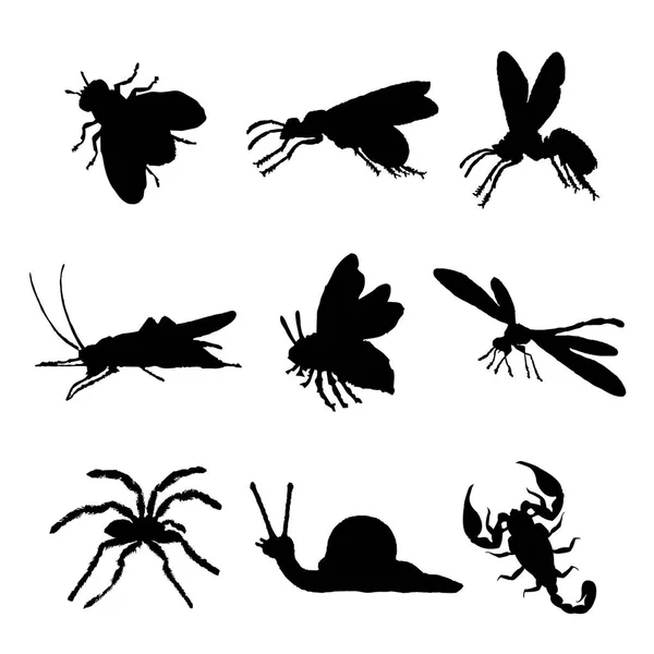 Insecte Animal Icon Izolat Negru Siluetă Bug Furnică Fluture Păianjen — Vector de stoc