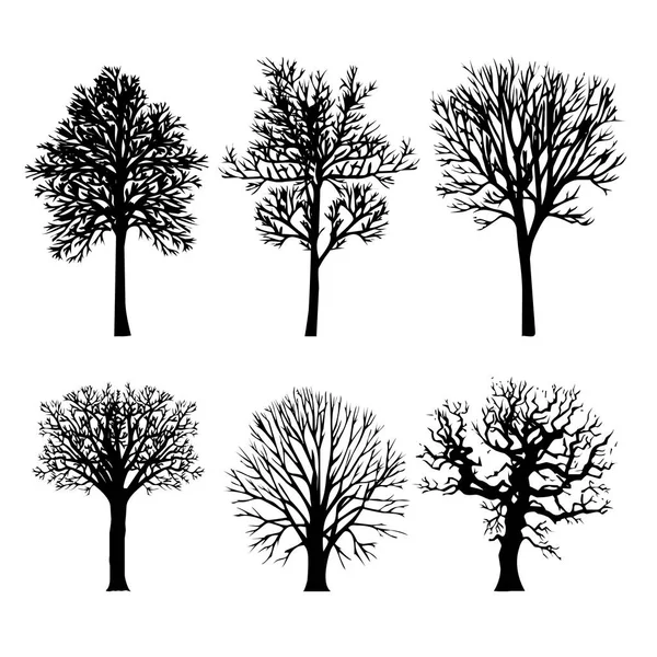 Дерево Ветви Арид Черные Силуэты Природный Лес Векторная Иллюстрация — стоковый вектор