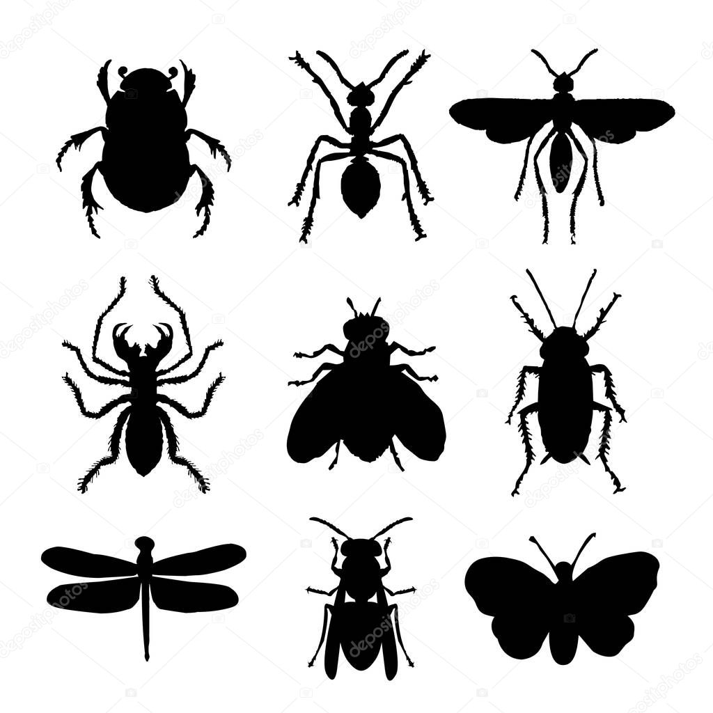Insect Animal Icon Flat Isolated Black Silhouette Bug Ant Butterfly Spider Vector
