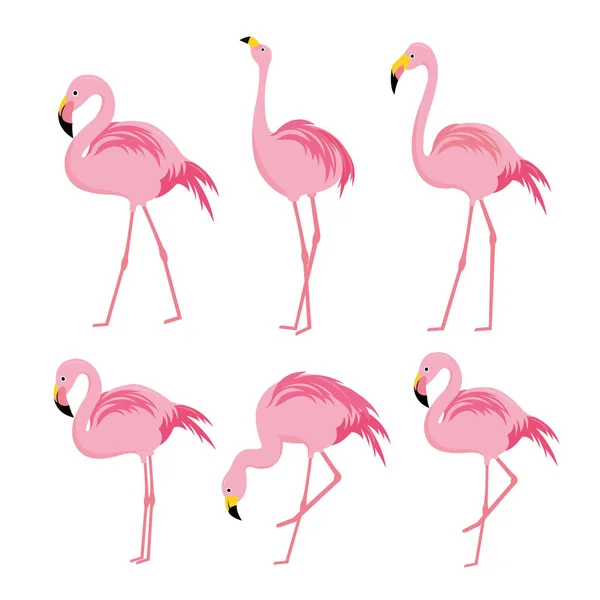 Flamingo Rosa Tier Vogel Zeichentrickfigur Vektor Illustration — Stockvektor