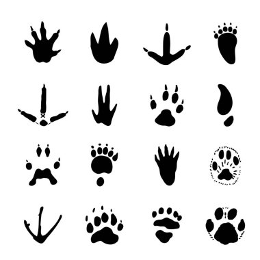 Set of Animal Spoor Footprints element Icon Vector illustration. clipart
