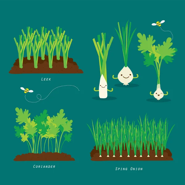 Set Van Plantentuin Biologische Gezonde Voeding Cartoon Vector Illustratie — Stockvector