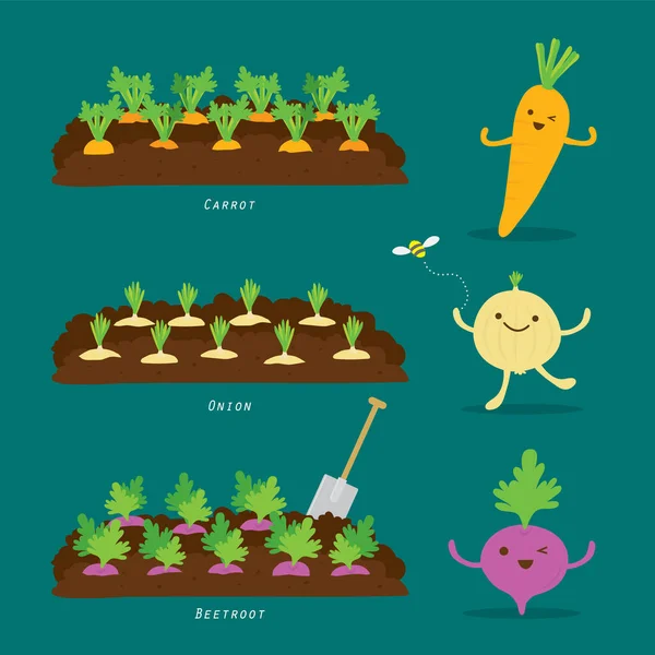 Set Vegetable Garden Organic Healthy Food Cartoon Vector Illustration — Stock Vector