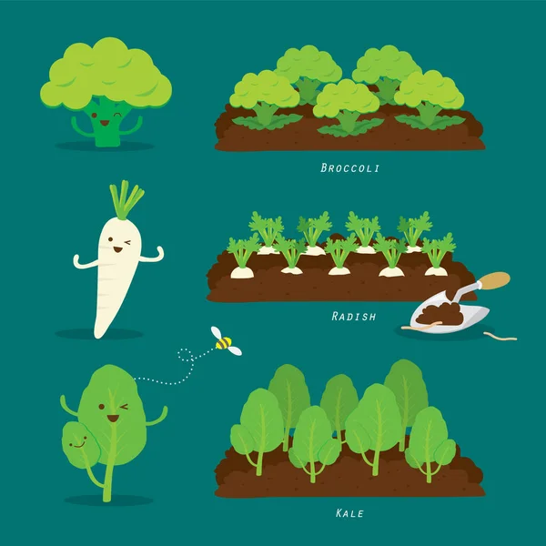 Gemüsegarten Vorhanden Biologische Und Gesunde Ernährung Cartoon Vector Illustration — Stockvektor
