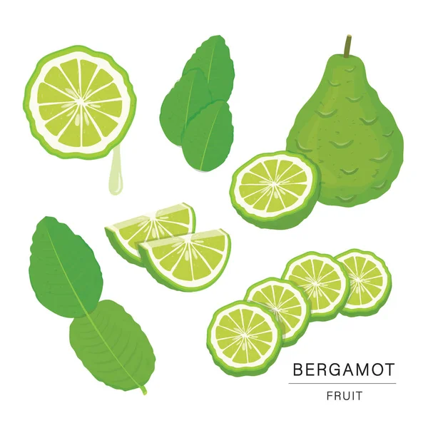 Set Bergamot Fruit Slices Organic Healthy Food Isolated Element Vector — Stock Vector