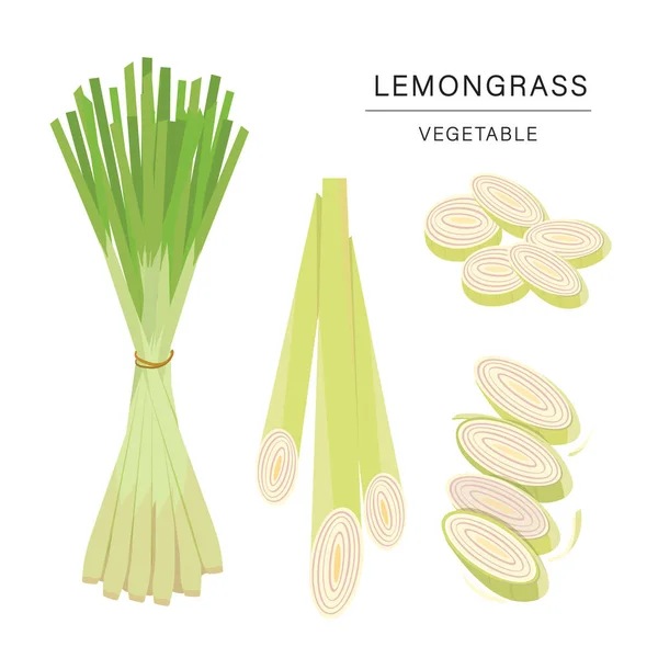 Zitronengras Gemüsescheiben Vorhanden Biologisches Und Gesundes Nahrungsmittel Isoliertes Element Vektorillustration — Stockvektor