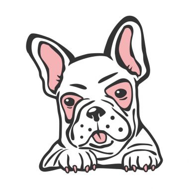 Bulldog evde beslenen hayvan vektörel clipart