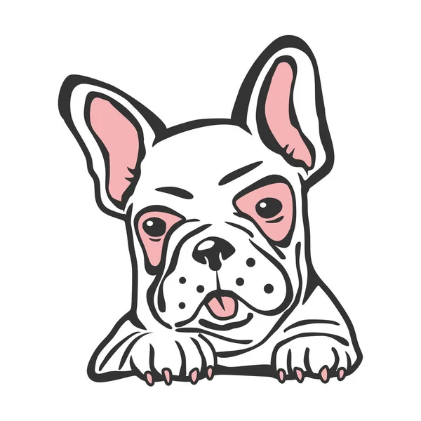 Bulldog Pet Vector Clipart — Stock Vector