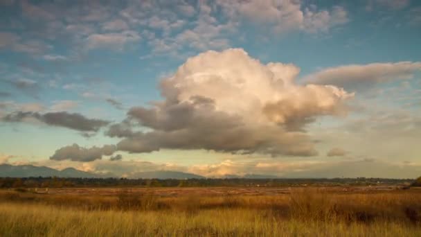 Lapso de tiempo de formación de nubes al atardecer — Vídeos de Stock