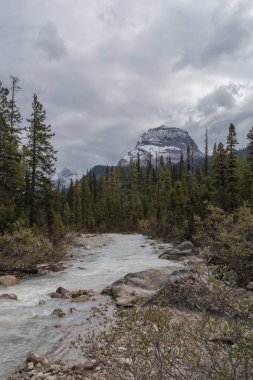 Yoho Milli Parkı, Kanada Rocky Dağları