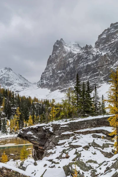 Wiwaxy Opabin Yaylası Yoho Milli Parkı, British Columbia, Kanada dan görüldüğü gibi tepeler