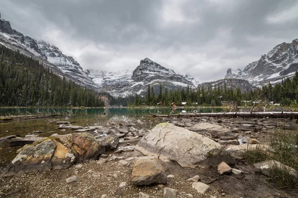 Yukness dağın Yoho Milli Parkı'nda