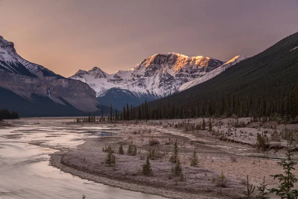Nehir boyunca Icefield Parkway Jasper Milli Parkı'nda
