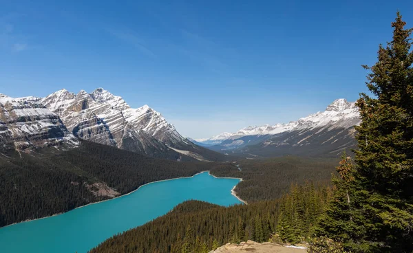 Peyto Lake and Caldron Peak in the Mistaya River Valley