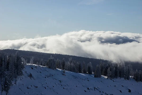 Nuvens cobrindo montanha de neve acima das árvores — Fotografia de Stock