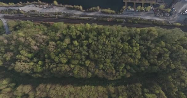 Vue aérienne de l'océan plein de pétroliers  