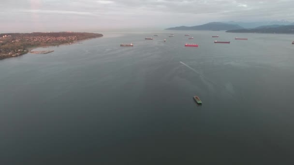 Aerial view of ocean full of tankers — Stock Video