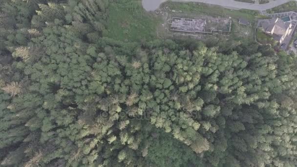 Вид сверху с воздуха на жилой район с домами, улицами и парками — стоковое видео