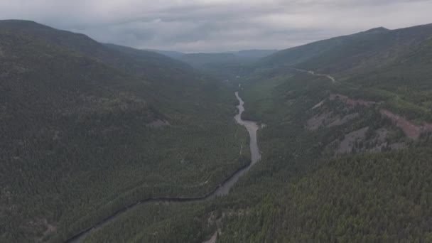 Vista aérea del río en un valle de un bosque en una tarde nublada — Vídeo de stock