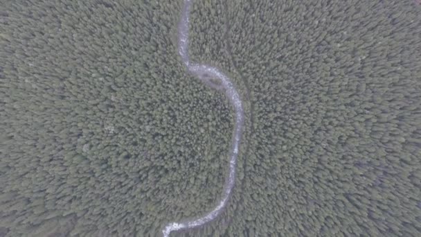 Vue aérienne au-dessus d'une rivière au loin dans la forêt — Video