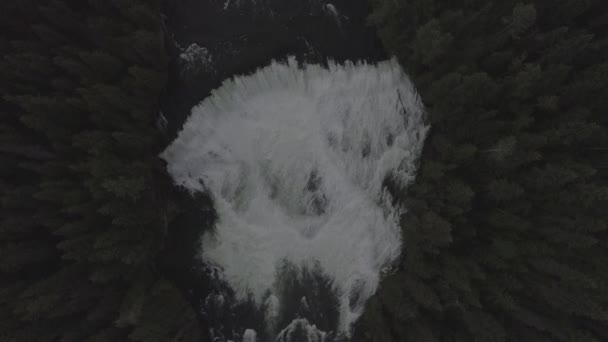 Vue du haut vers le bas d'une cascade dans la forêt — Video