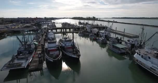 Aerial view of fishing boat by the dock — Stock Video