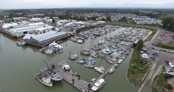 Aerial view of boats parked by the dock — Stock Video