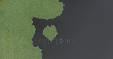 Hava yukarıdan aşağıya görüş-in iz bir göl sonbaharda hiking.