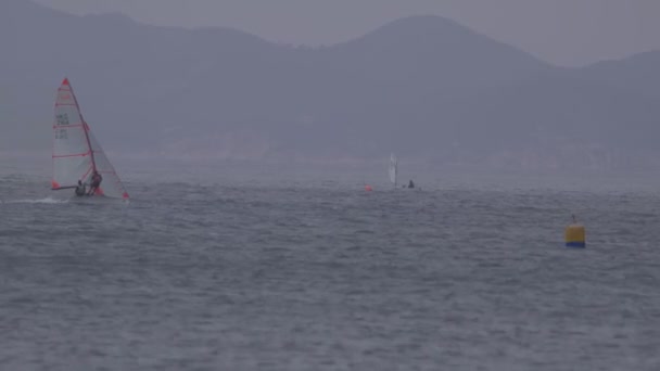 Planche à voile dans l'océan — Video